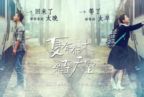 学历证书电子注册备案表上为什么没有照片...